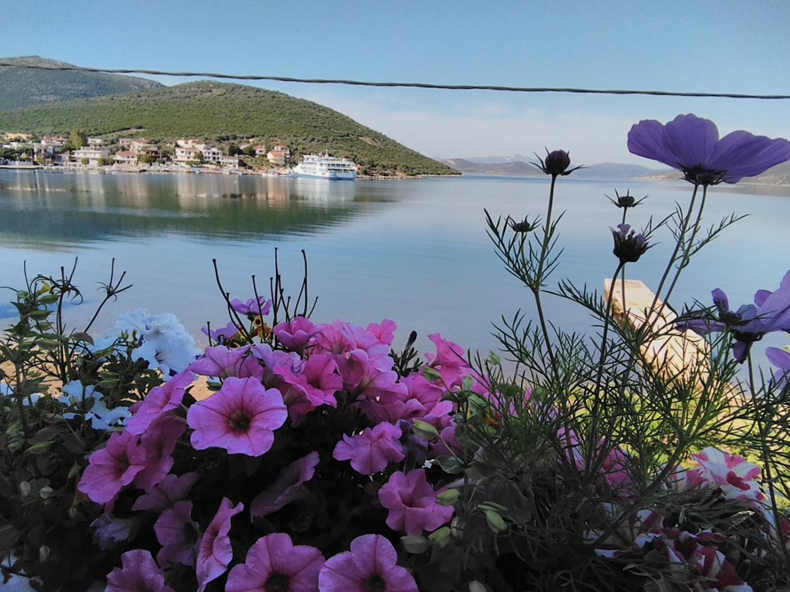 Meli-Ios ξενώνας Αλμυροπόταμος Εξωτερικό φωτογραφία