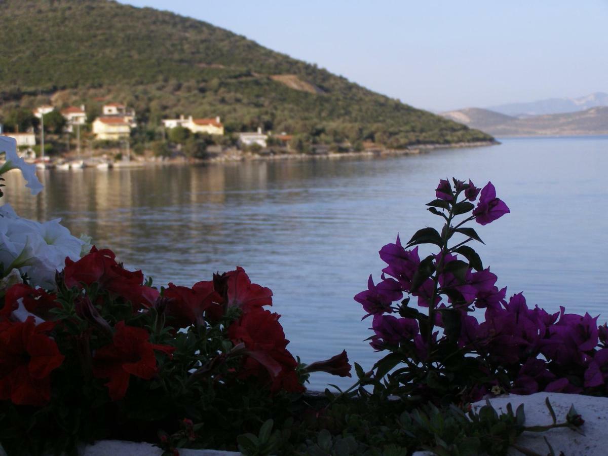 Meli-Ios ξενώνας Αλμυροπόταμος Εξωτερικό φωτογραφία