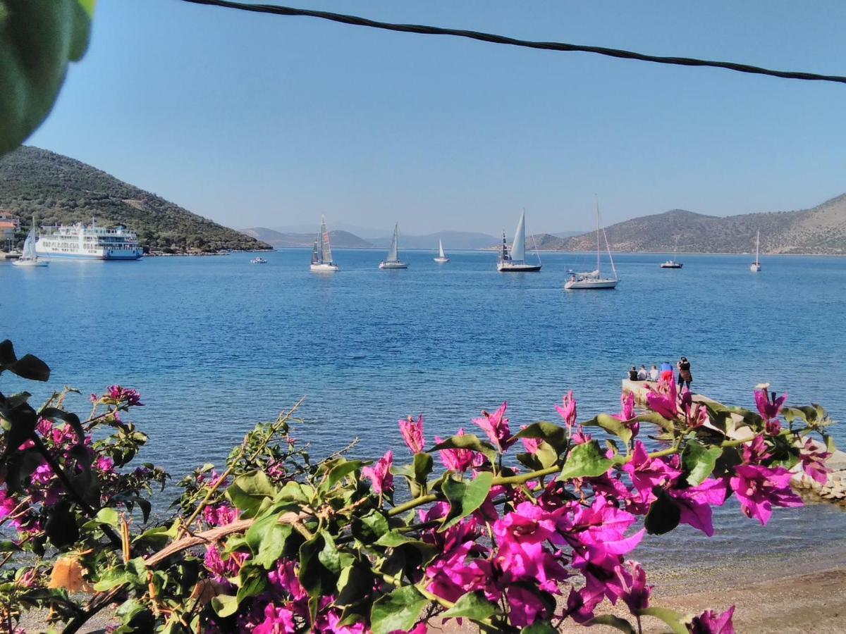 Meli-Ios ξενώνας Αλμυροπόταμος Εξωτερικό φωτογραφία
